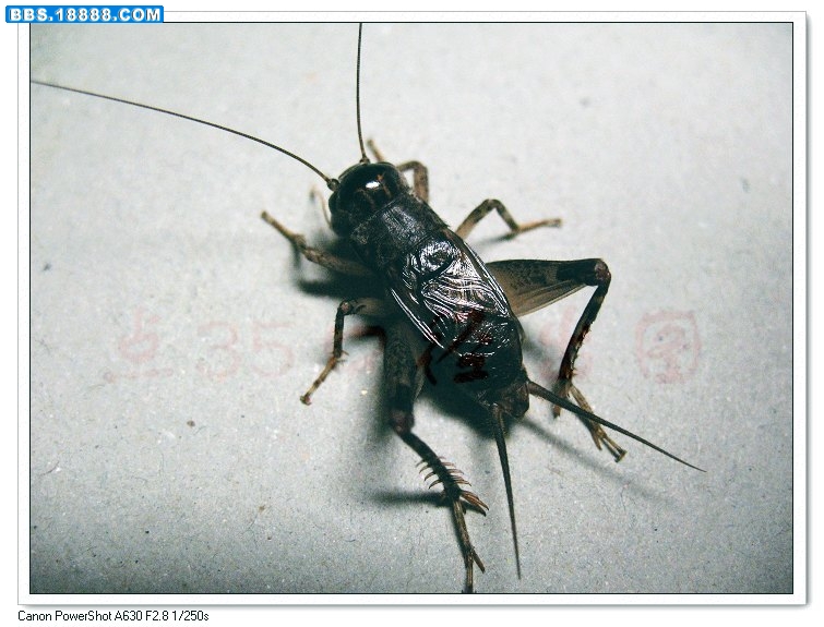 照片 003_nEO_IMG.jpg