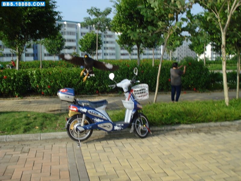 DSC00287.jpg