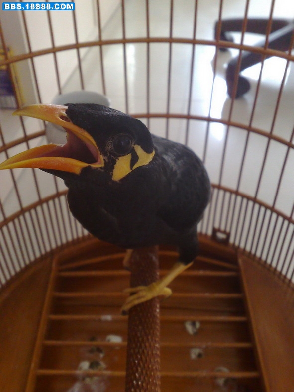 20080921400.jpg