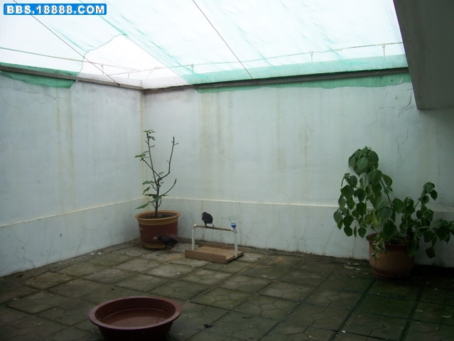 照片99 025_调整大小.jpg