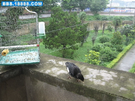 照片 039.jpg
