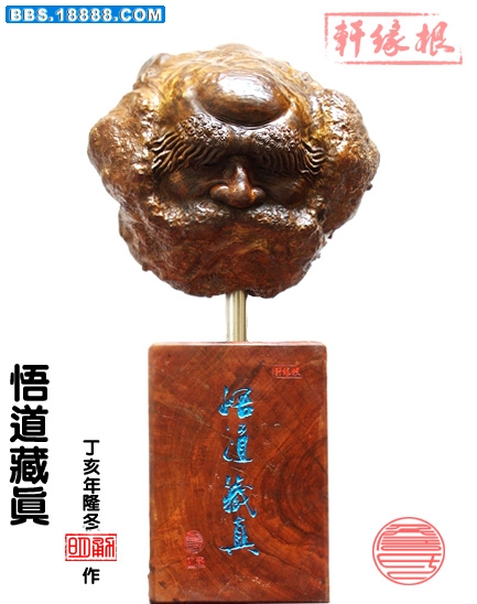 悟道藏真.jpg
