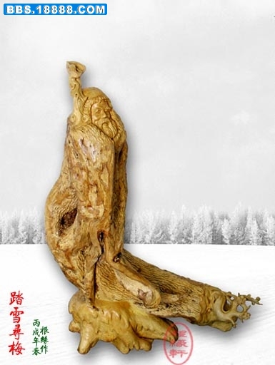 踏雪寻梅.jpg
