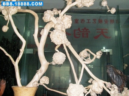 照片 066.jpg