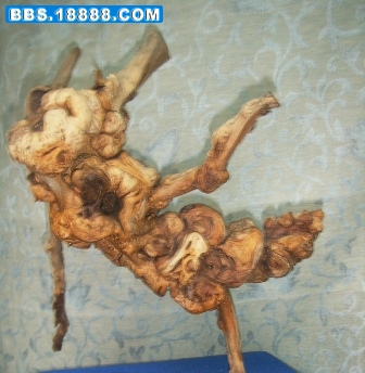 照片 383.jpg
