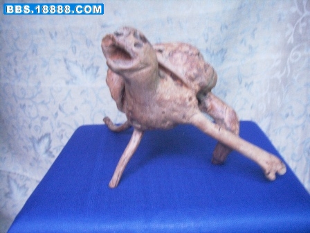 照片 321.jpg