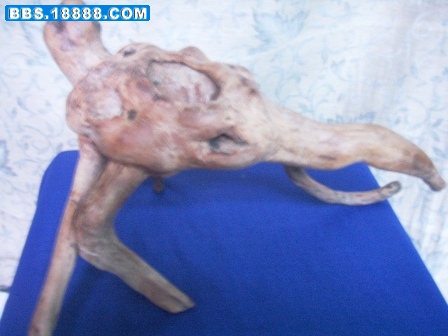 照片 305.jpg