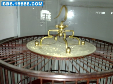 我新拍的图像1351.jpg