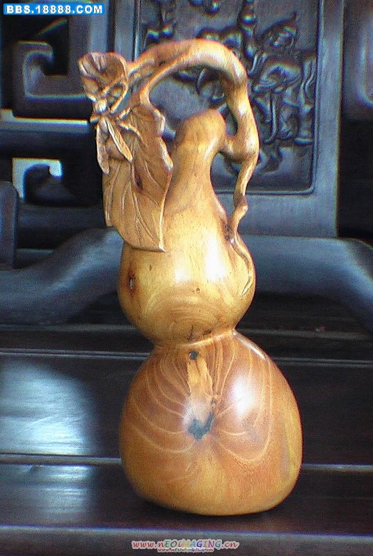 IMGA0455.jpg