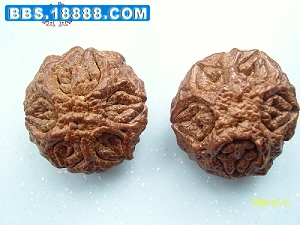 SNC14012.jpg