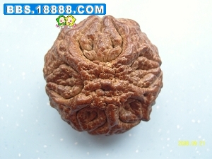 SNC14013.jpg