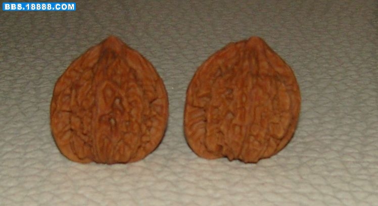 SNC13976.JPG