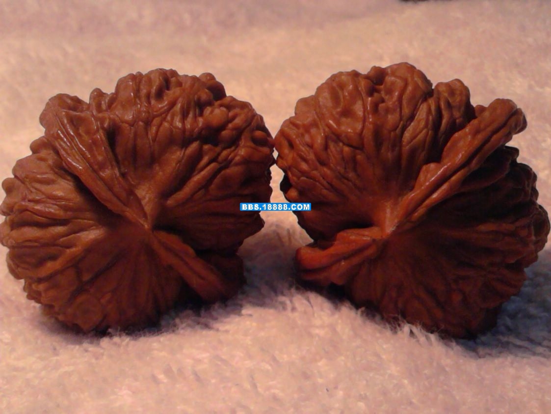 照片-0030.jpg