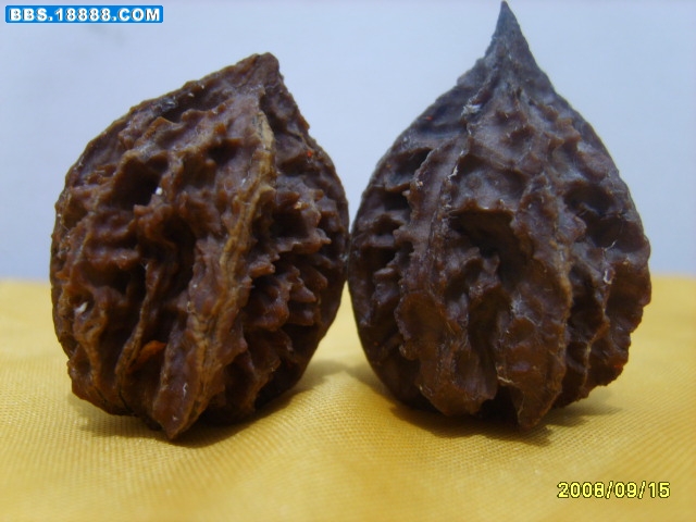S8004531.JPG