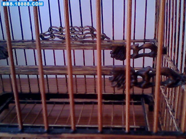 IMG0446A.jpg
