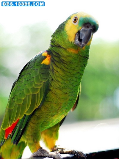 20080907_6db80d86a87579590b612N8OpHoD7dYm.jpg
