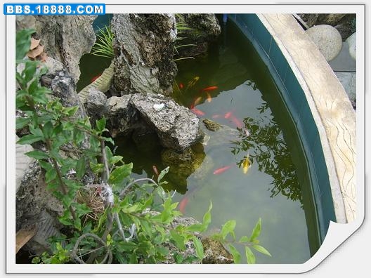 S6001268_调整大小.JPG