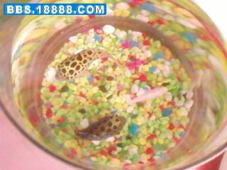 SP_A0027.jpg