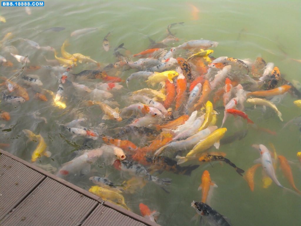 照片-0006.jpg