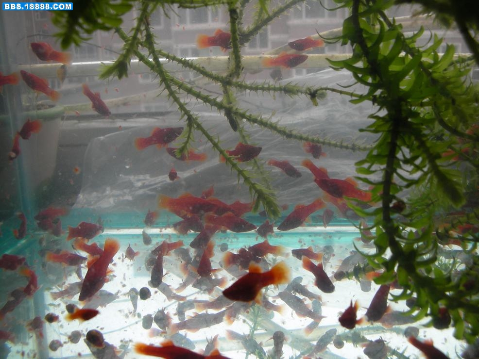 照片 680.jpg