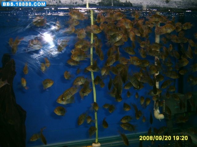 S5001286.jpg