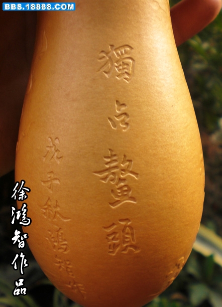 CIMG4545.jpg