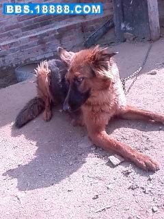 SP_A0030.jpg
