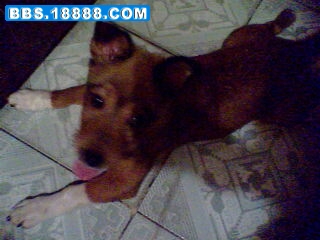 IMG0312A.jpg