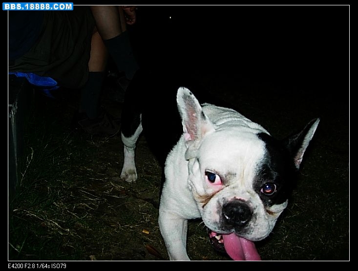 nEO_IMG_DSCN7853.jpg