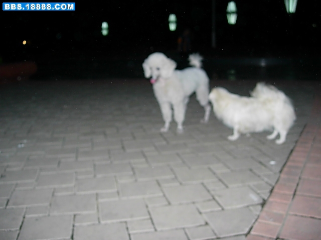 DSCN7825.JPG