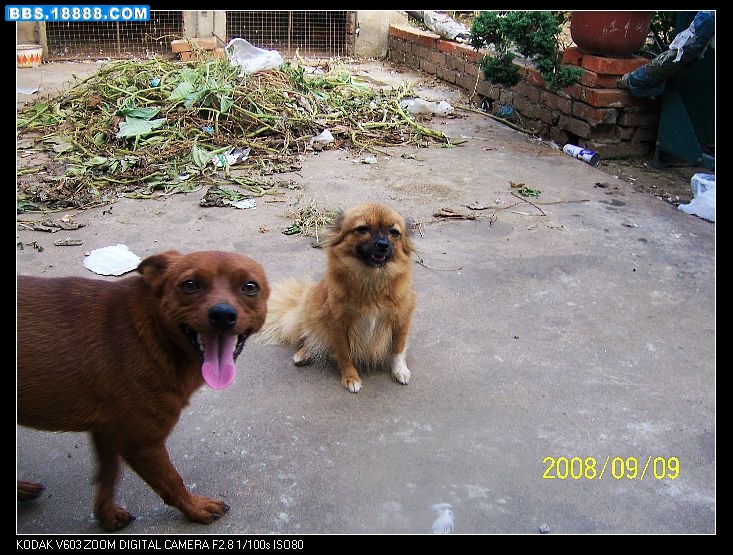 nEO_IMG_100_3392.jpg