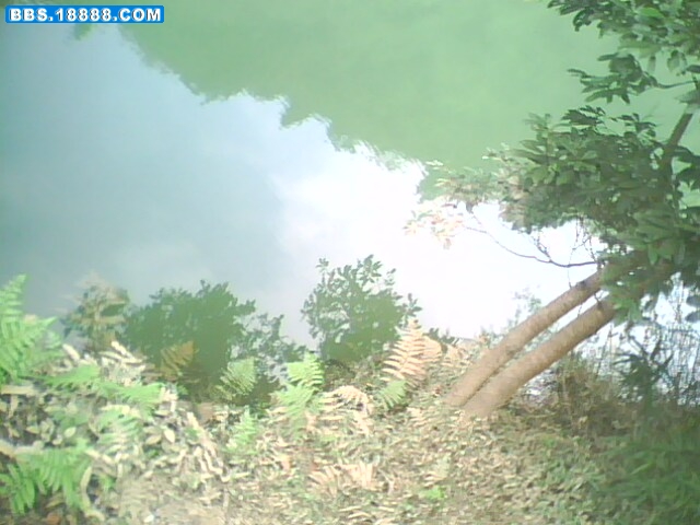 IMG0686A.jpg