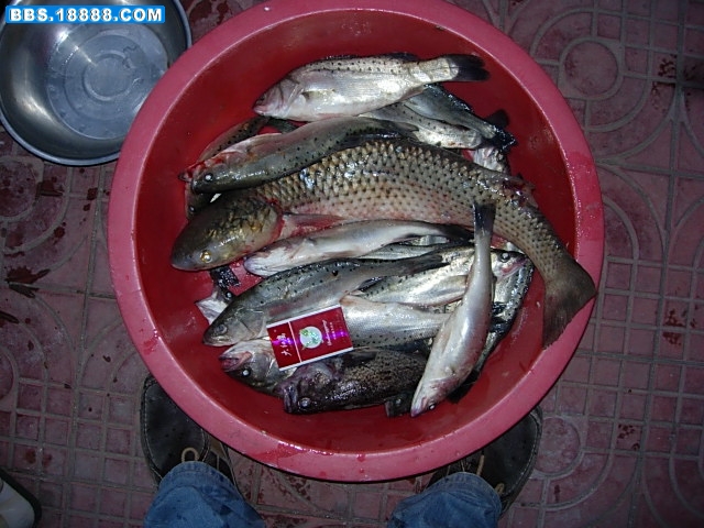 DSCN4177.JPG