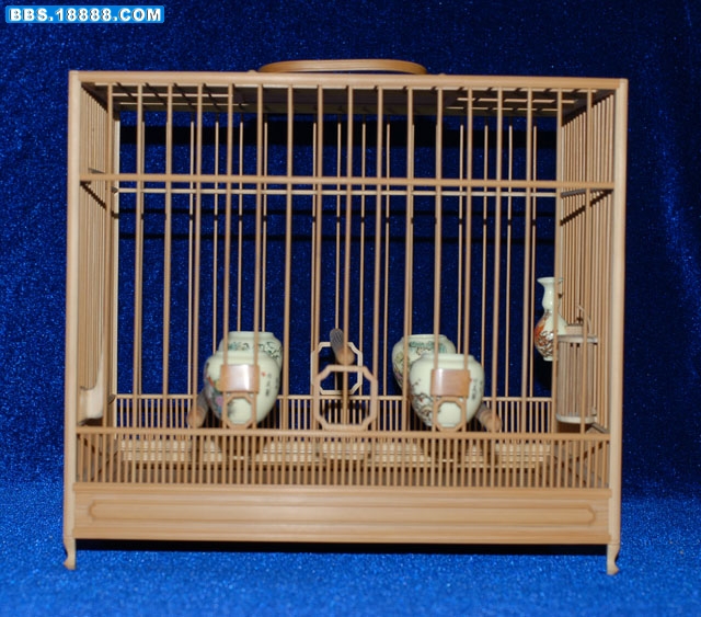 照片 010.jpg