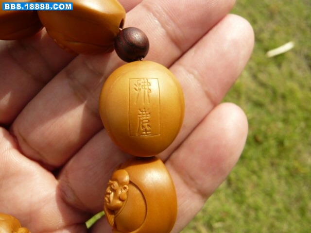 拂尘背面.jpg