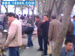 IMG0130A.jpg
