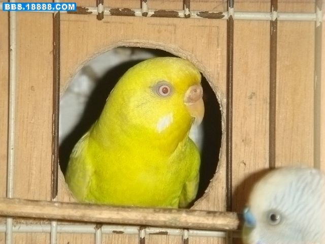 DSC01050_nEO_IMG.jpg