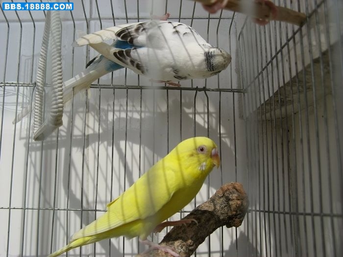IMG_1897_nEO_IMG.jpg