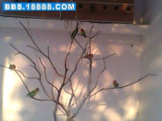 IMG0200A.jpg