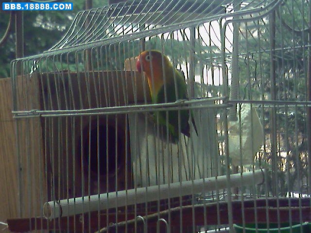 DSC00001.JPG