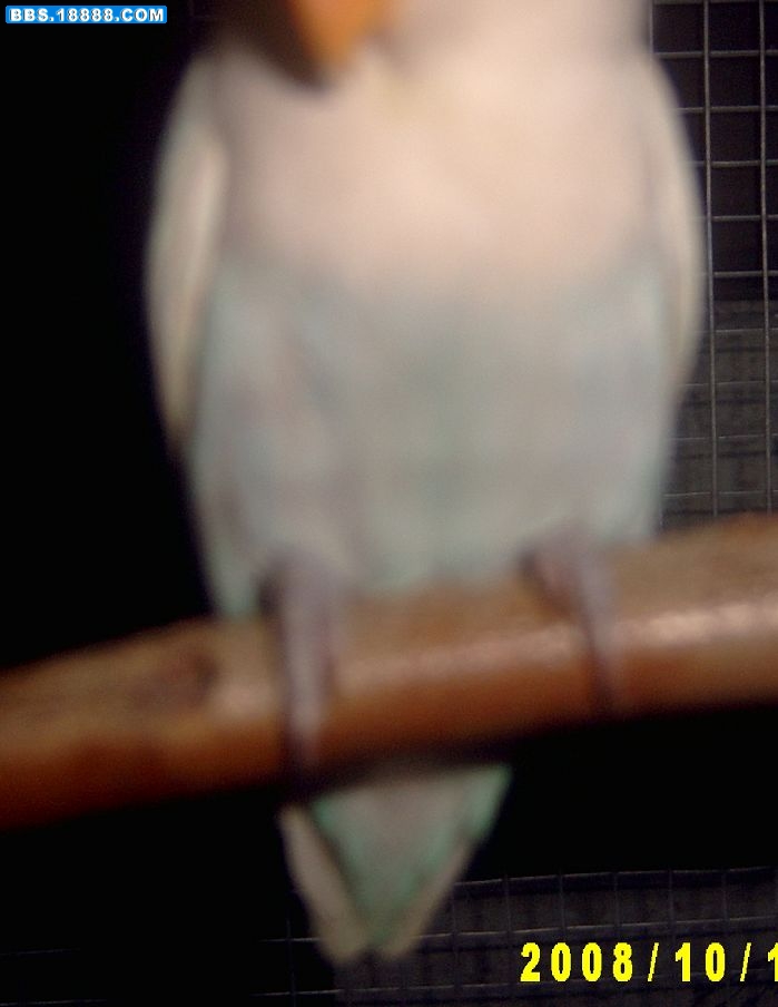 SV30409122222.jpg