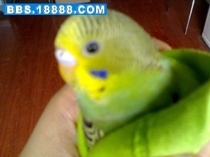 20081010100.jpg