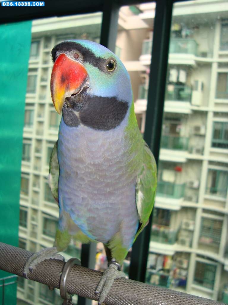DSC00034.JPG