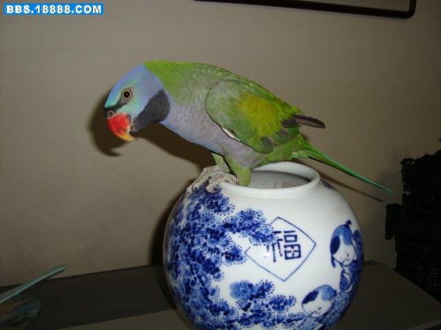 DSC00510.JPG