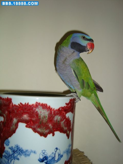 DSC00504.JPG