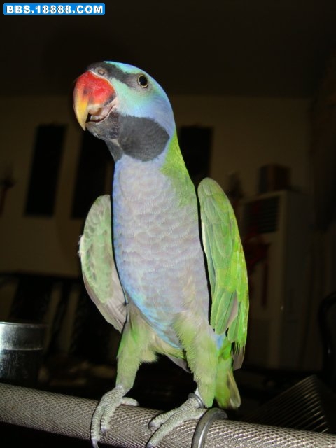 DSC00368.JPG