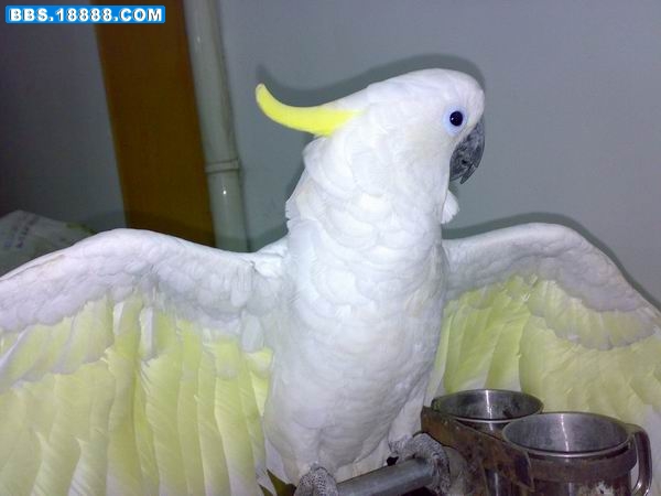 200810162439.jpg