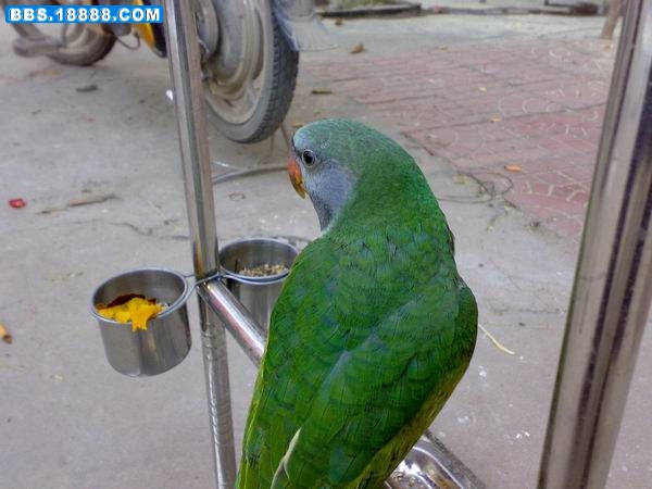 200810162428.jpg