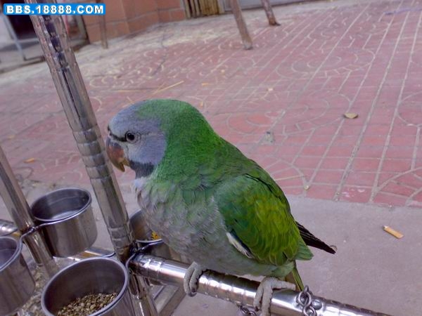 200810162430.jpg