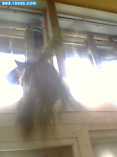 IMG0388A.jpg